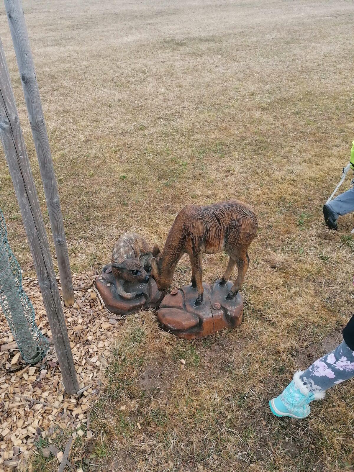 "Zážitkové jaro" - vycházka České Libchavy :-) - 15