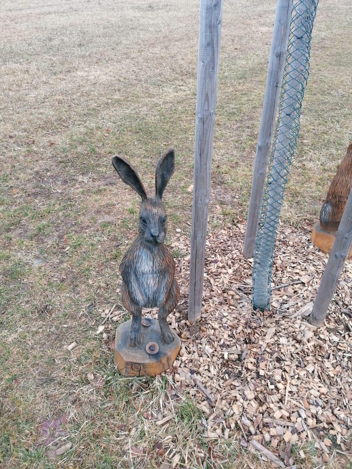 "Zážitkové jaro" - vycházka České Libchavy :-) - 25