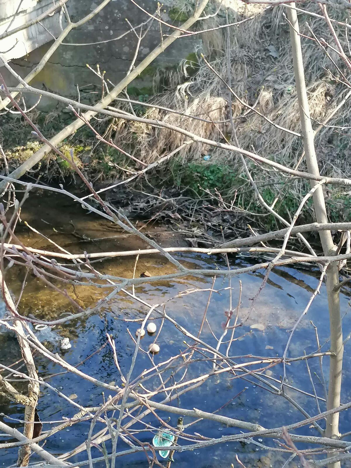 Vynášení Morany :-) - 35