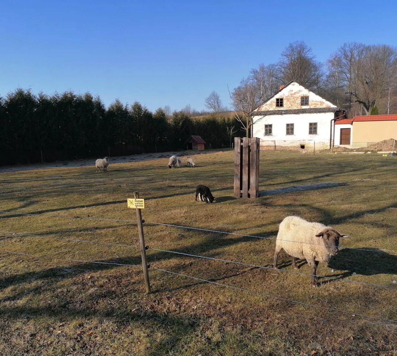 výlet na výstavu pavouků v Ústí nad Orlicí :-) - 3