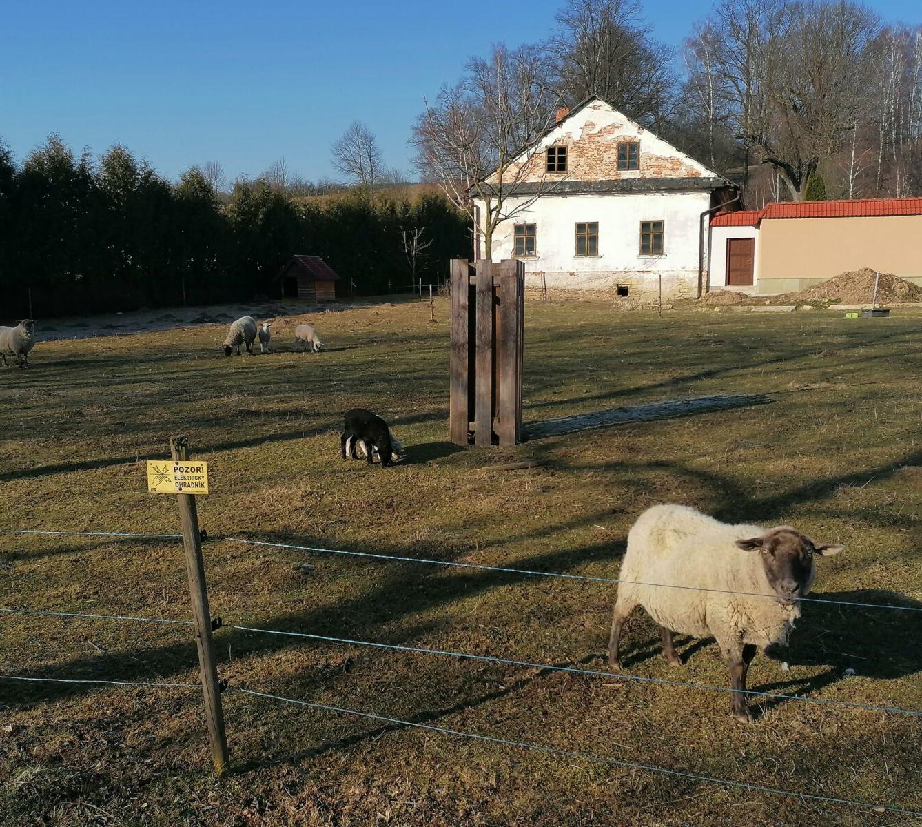 výlet na výstavu pavouků v Ústí nad Orlicí :-) - 4