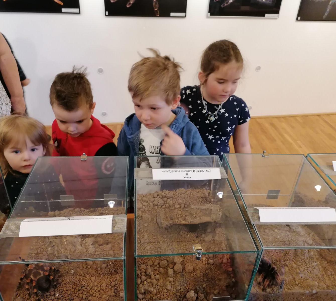 výlet na výstavu pavouků v Ústí nad Orlicí :-) - 59