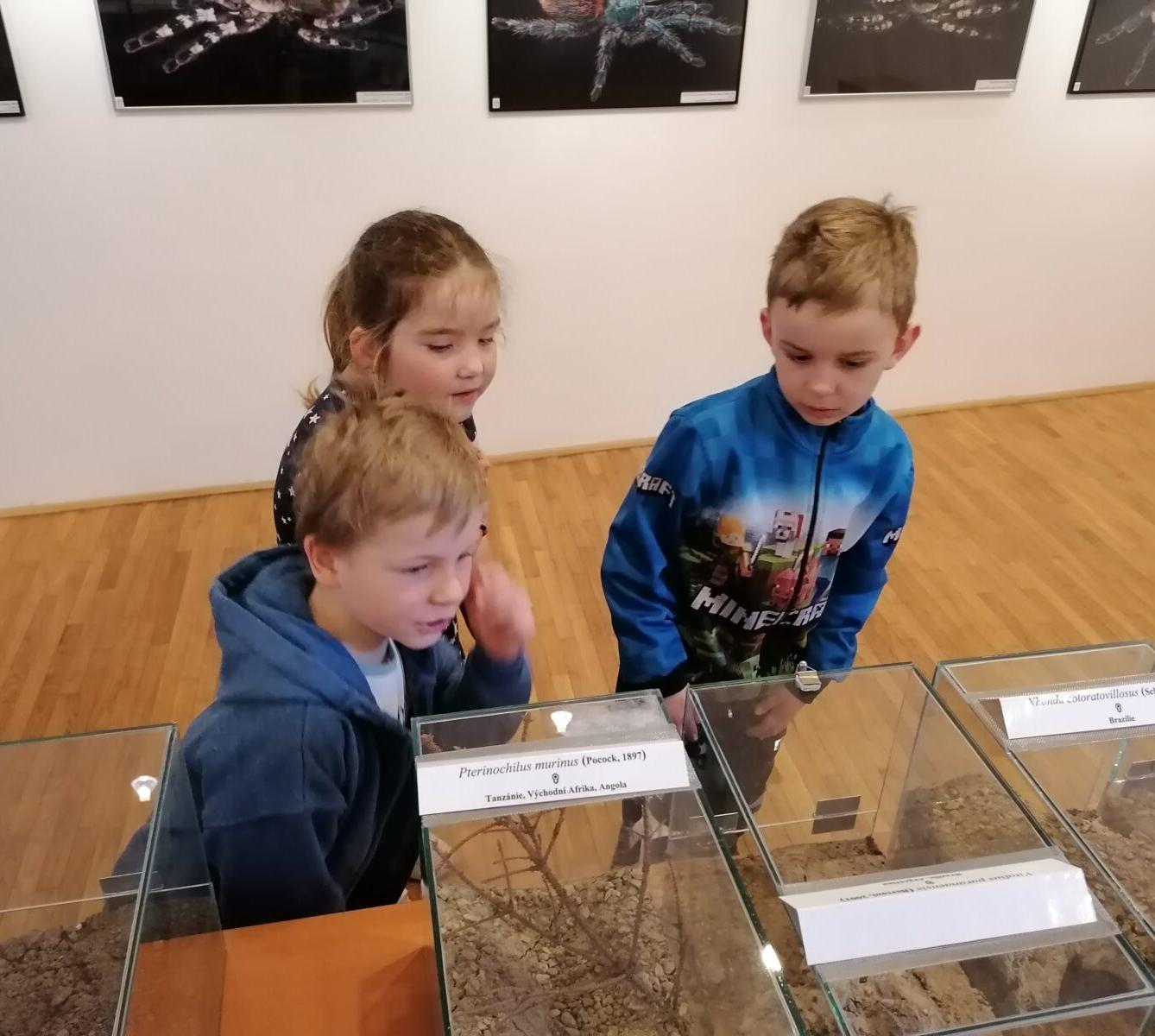 výlet na výstavu pavouků v Ústí nad Orlicí :-) - 60