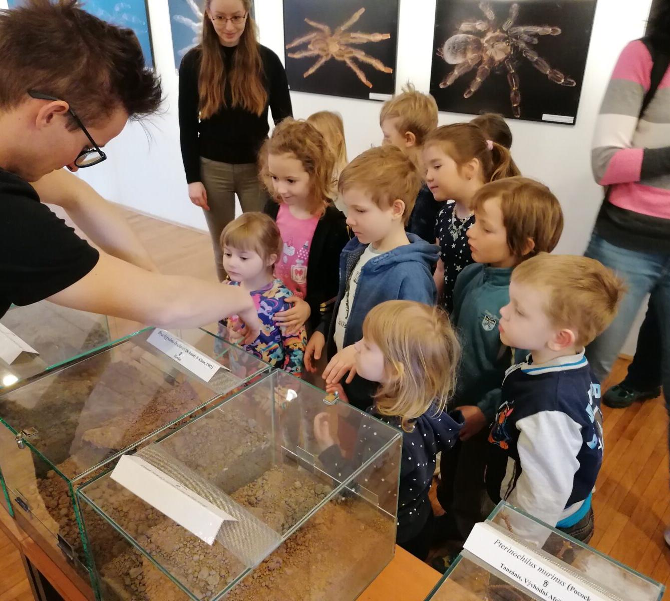 výlet na výstavu pavouků v Ústí nad Orlicí :-) - 66