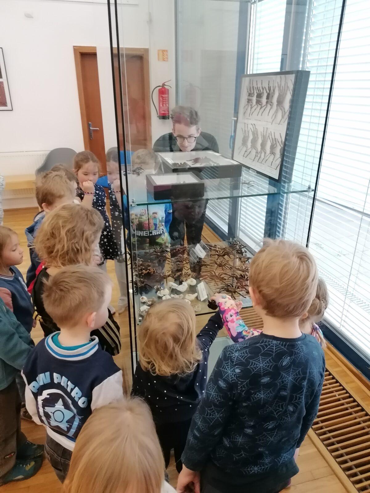 výlet na výstavu pavouků v Ústí nad Orlicí :-) - 70