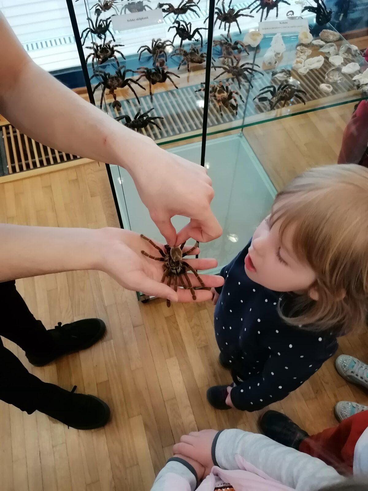 výlet na výstavu pavouků v Ústí nad Orlicí :-) - 71