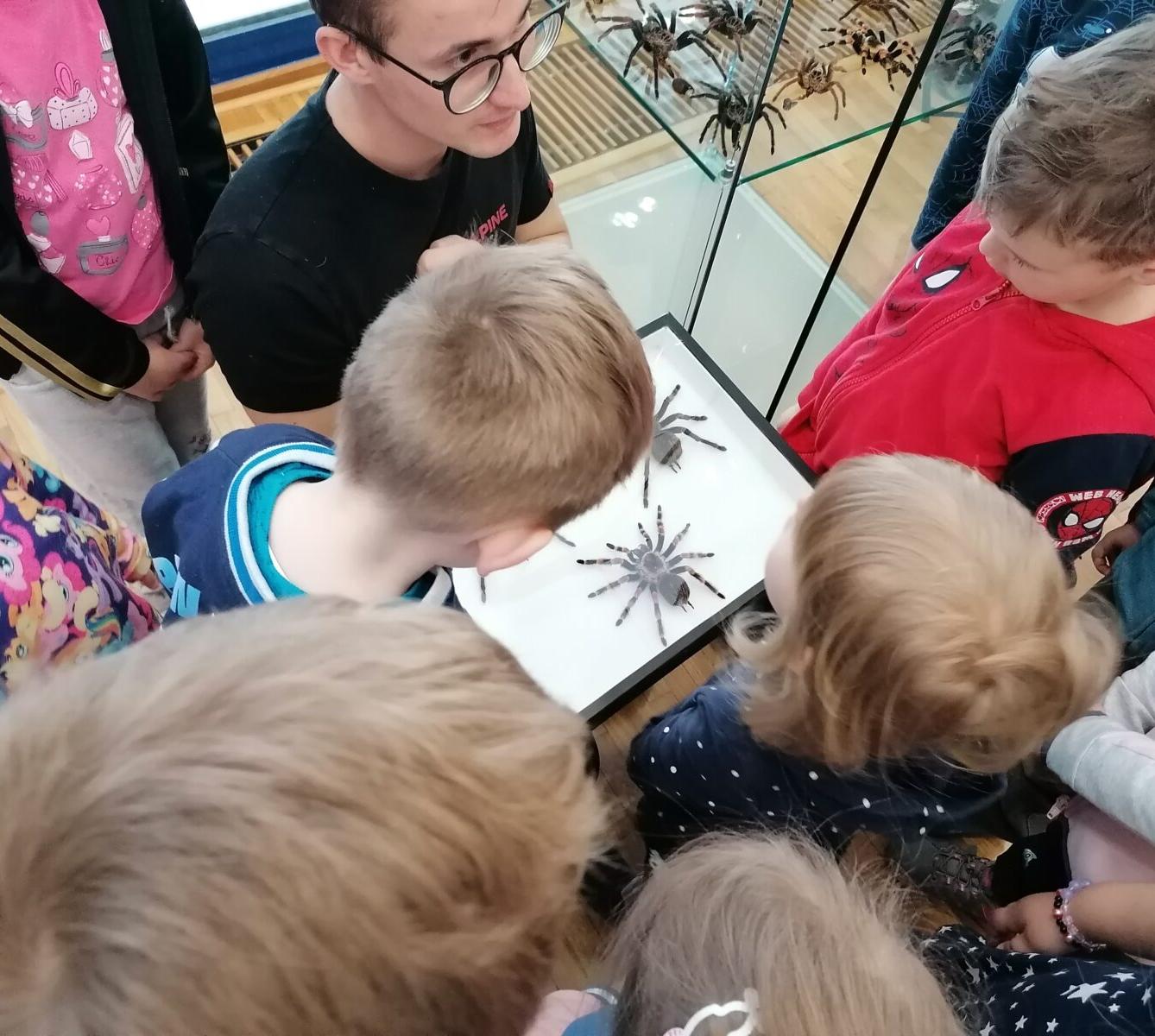 výlet na výstavu pavouků v Ústí nad Orlicí :-) - 79