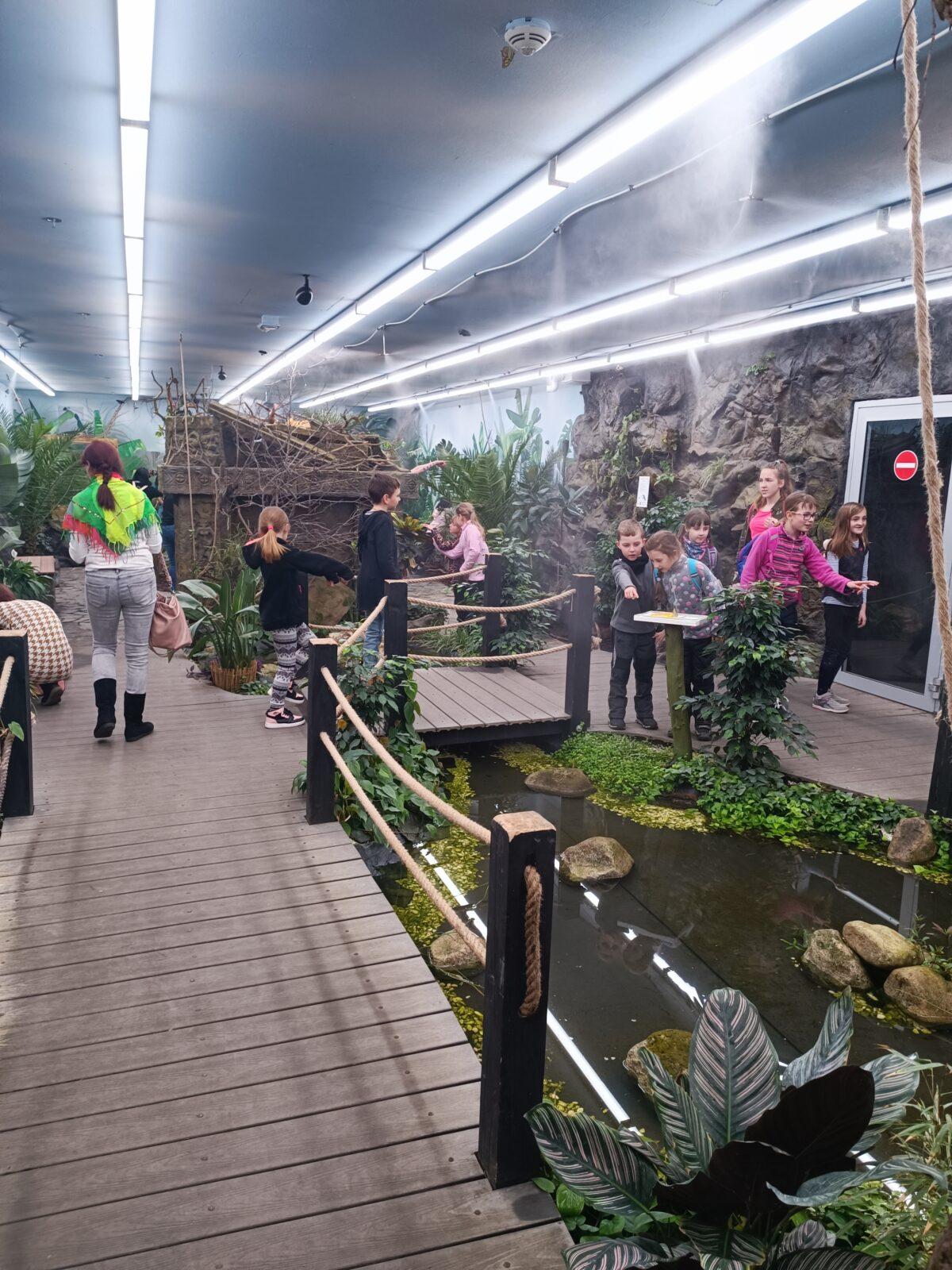 TLAPKY - 2 - motýlci a HAMELYS - 14