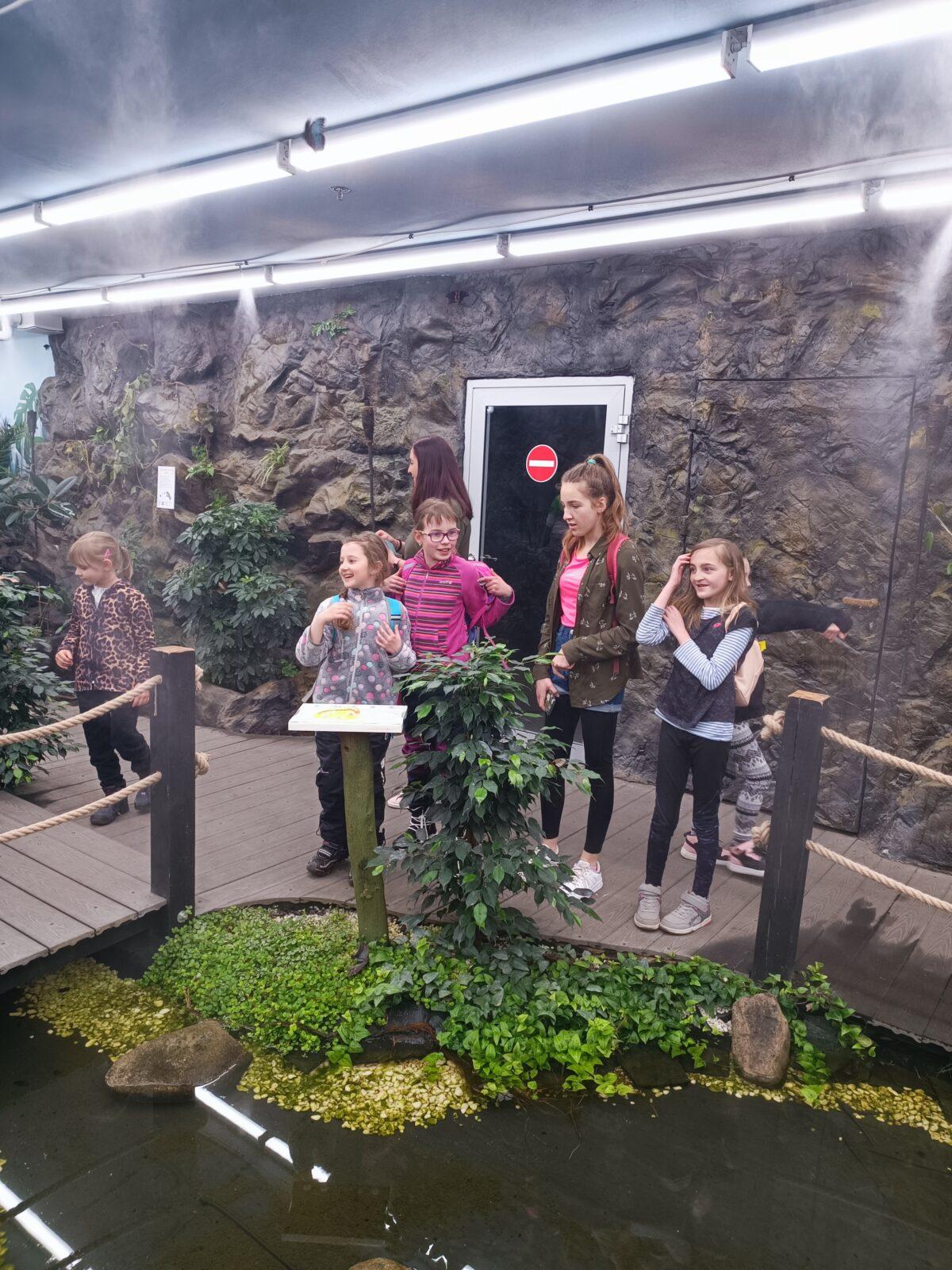 TLAPKY - 2 - motýlci a HAMELYS - 15