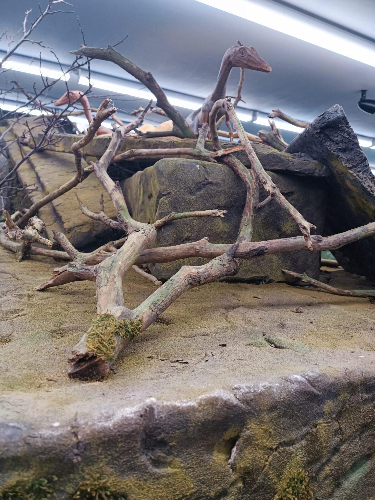 TLAPKY - 2 - motýlci a HAMELYS - 16