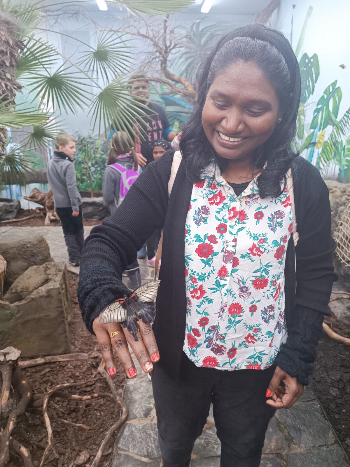 TLAPKY - 2 - motýlci a HAMELYS - 22