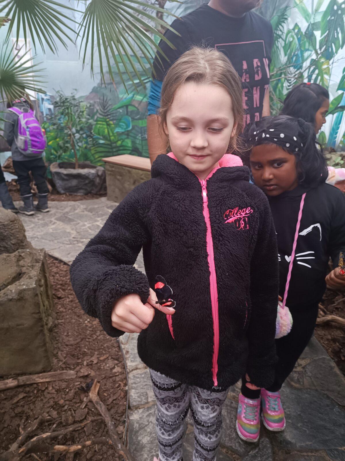 TLAPKY - 2 - motýlci a HAMELYS - 23