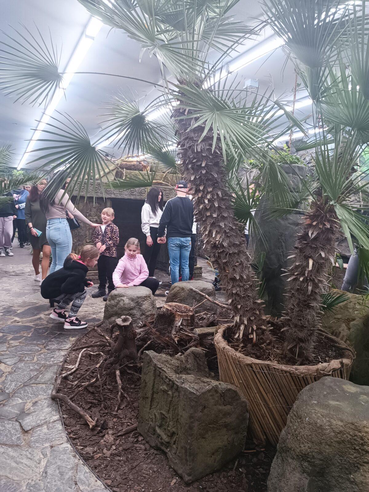 TLAPKY - 2 - motýlci a HAMELYS - 29