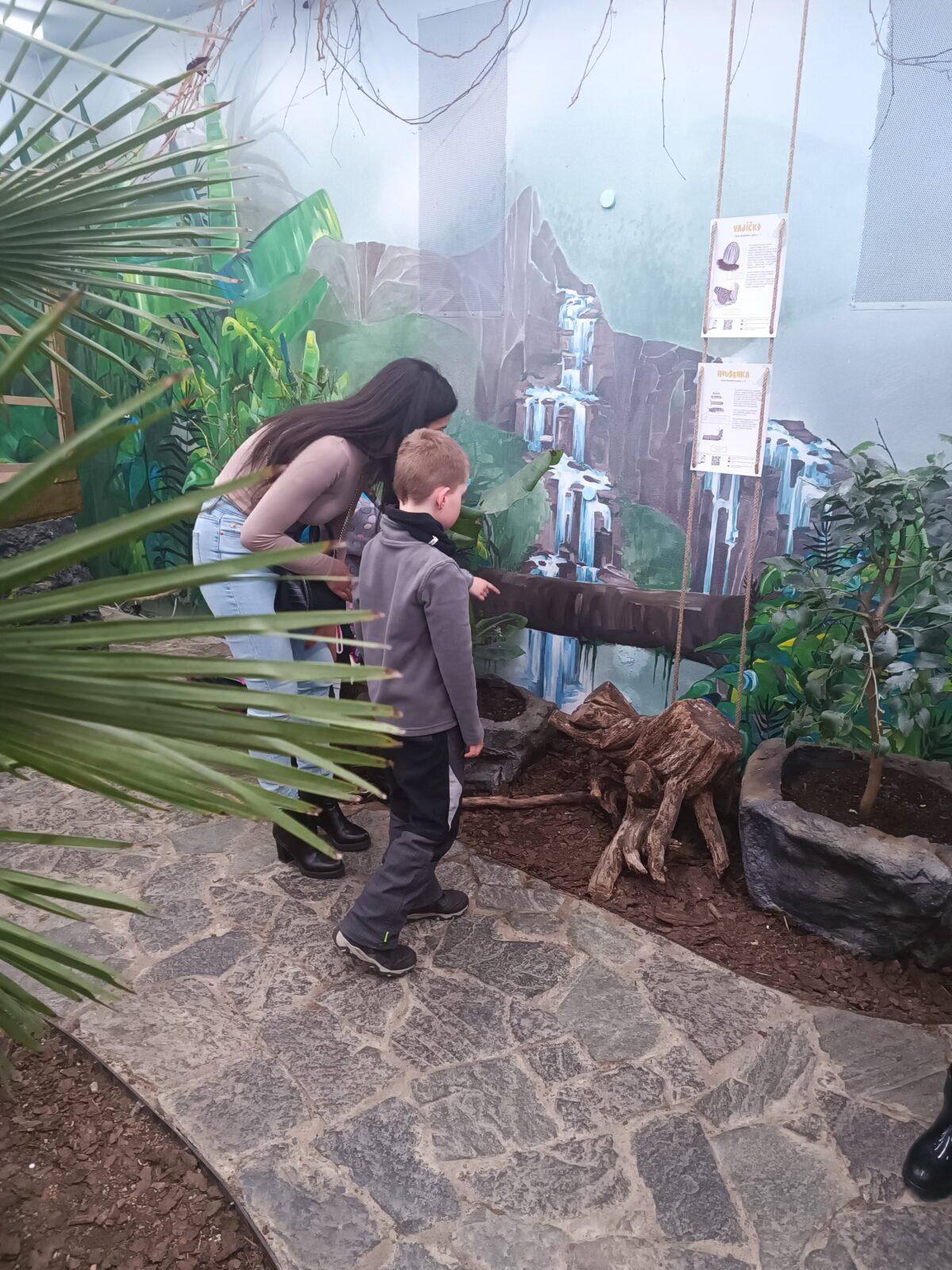 TLAPKY - 2 - motýlci a HAMELYS - 37