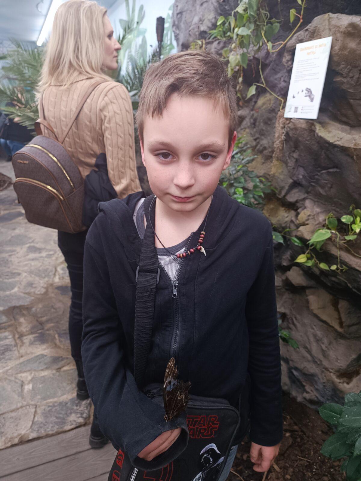 TLAPKY - 2 - motýlci a HAMELYS - 39