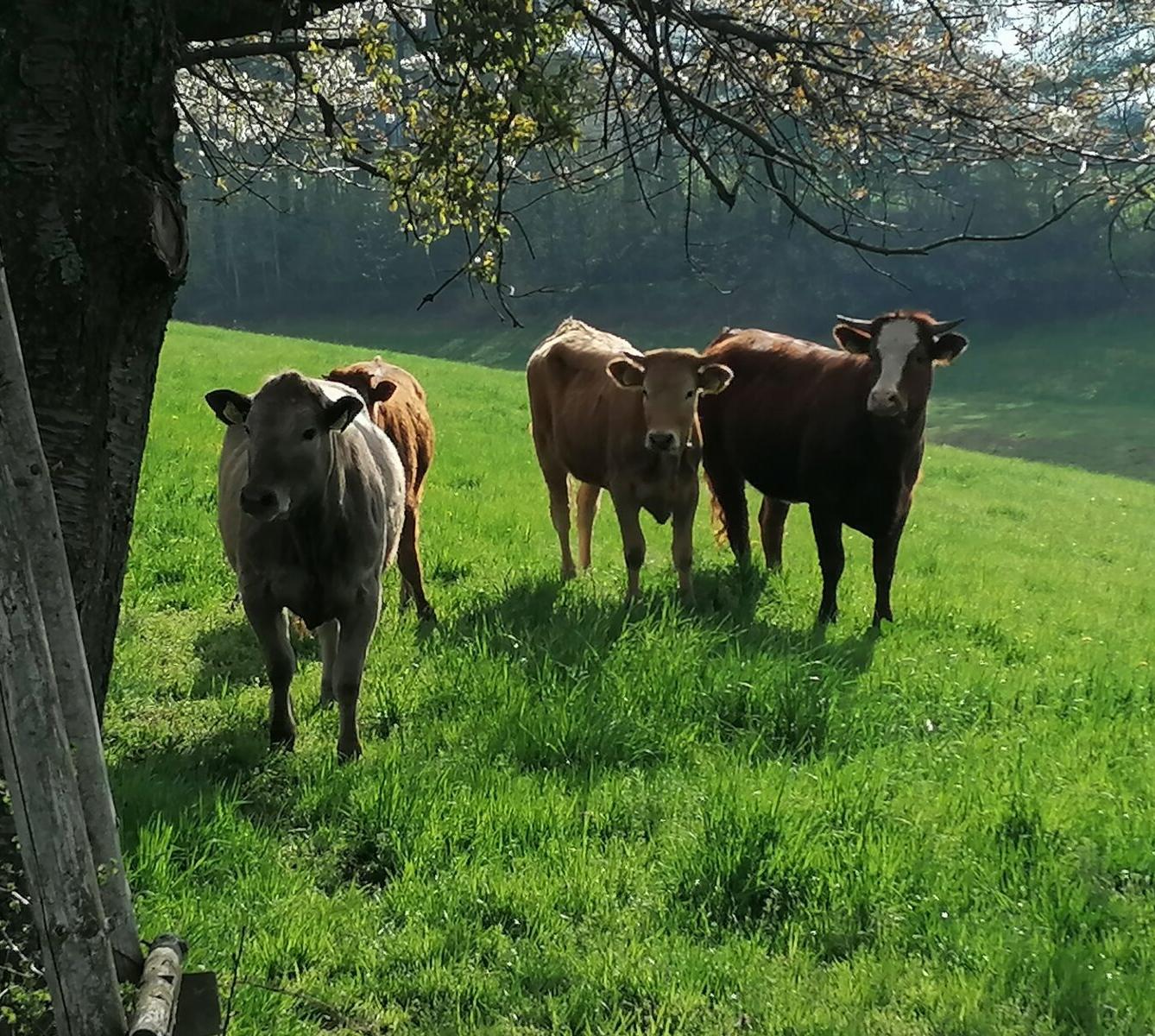 Čarodějnický týden v MŠ :-) - 82