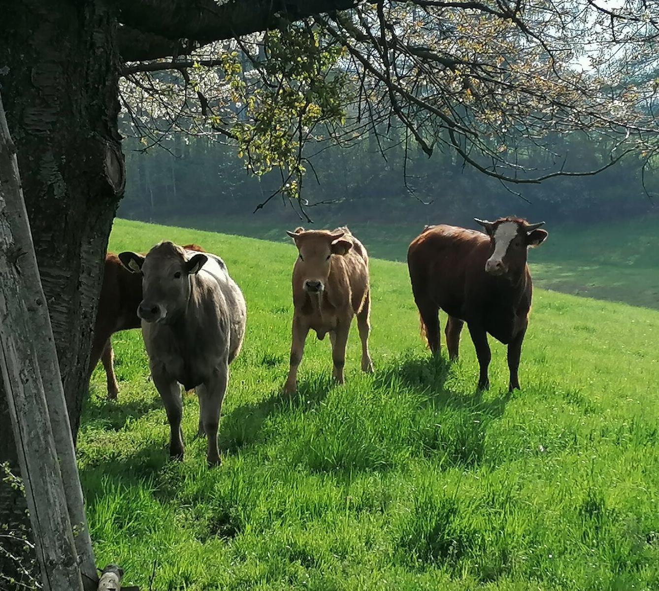 Čarodějnický týden v MŠ :-) - 83