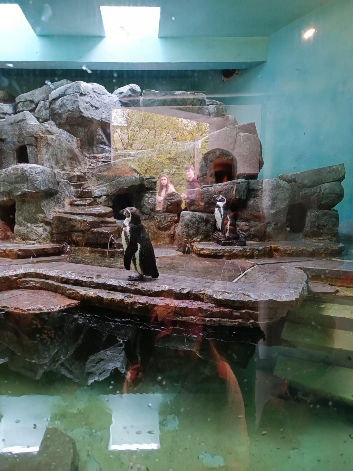 TLAPKY - Praha v ZOO - 22