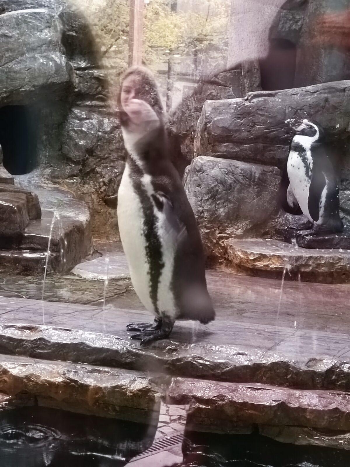 TLAPKY - Praha v ZOO - 23