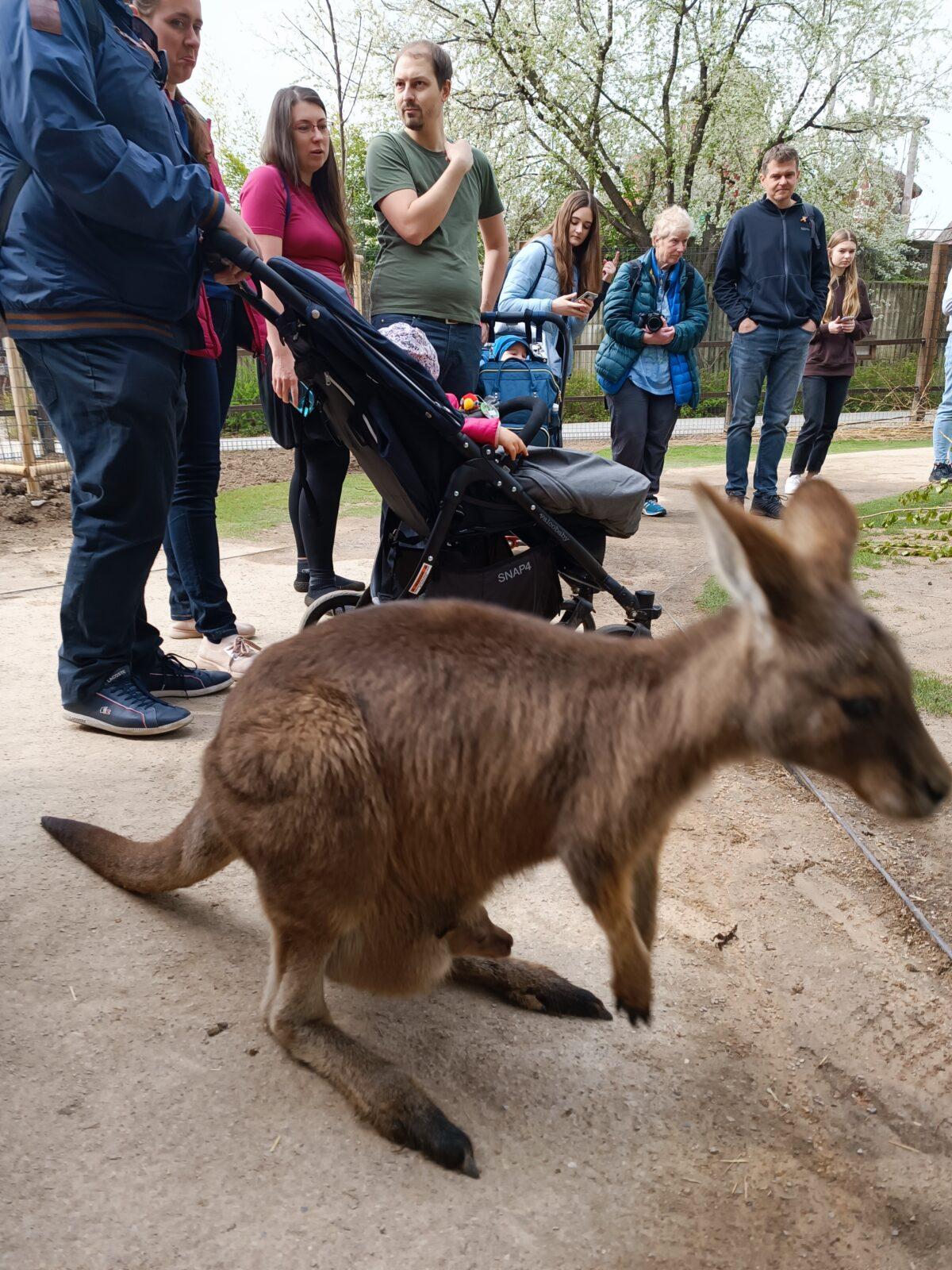 TLAPKY - Praha v ZOO - 29