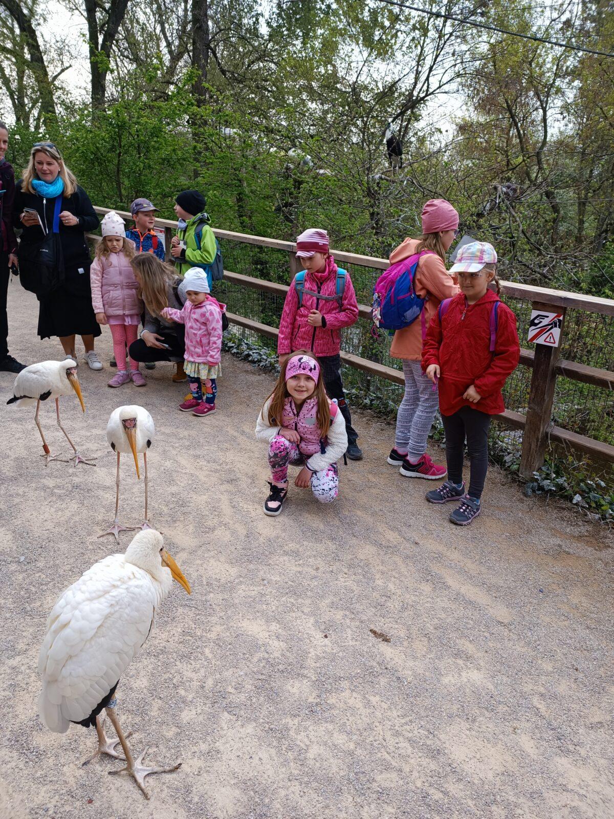 TLAPKY - Praha v ZOO - 30