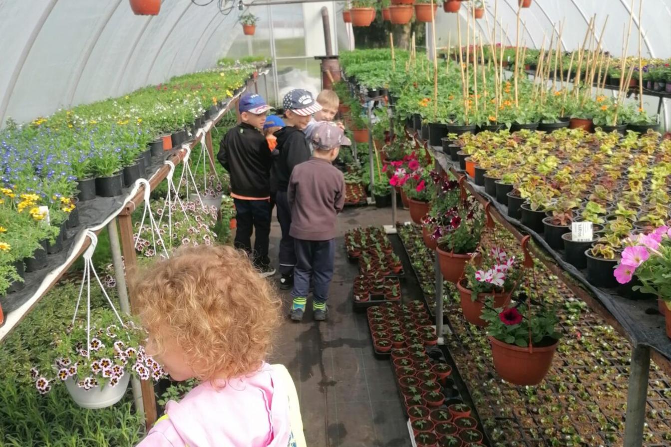 návštěva zahradnictví :-)