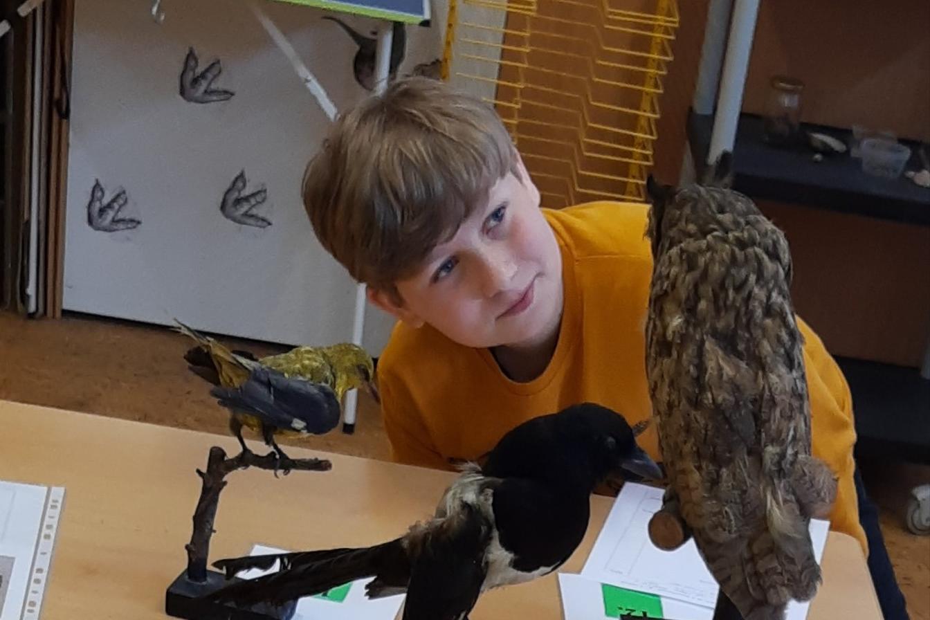 Regionální soutěž "Poznávání přírodnin a minerálů" - II. stupeň