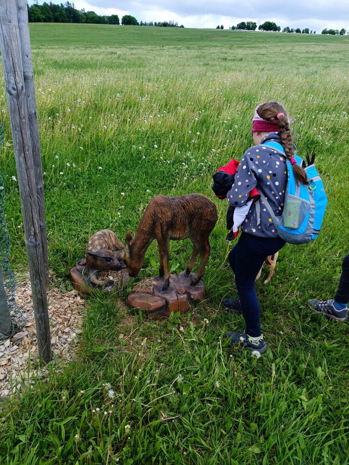 TLAPKY - České Libchavy - 26