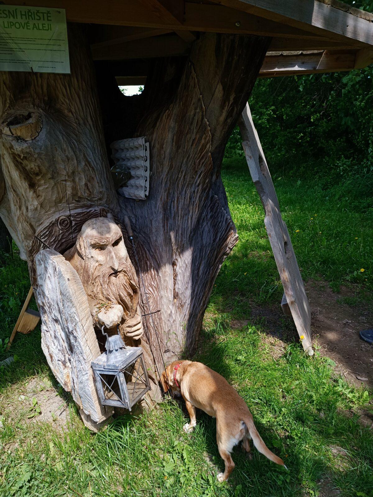 TLAPKY - České Libchavy - 37