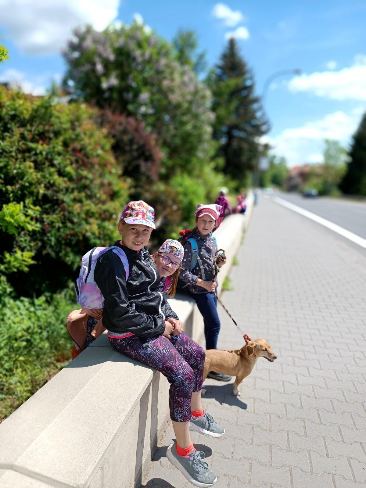 TLAPKY - České Libchavy - 56