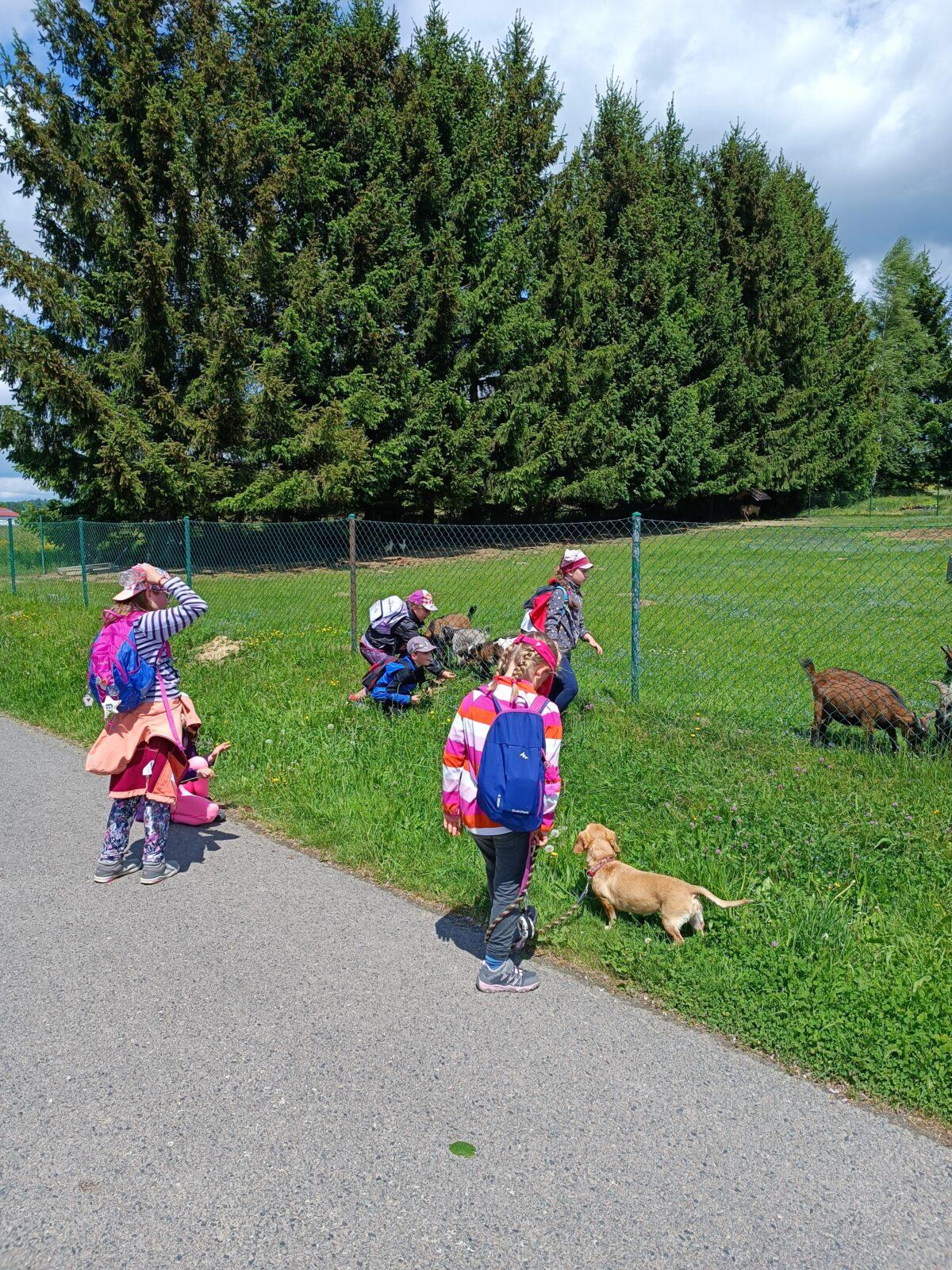 TLAPKY - České Libchavy - 64