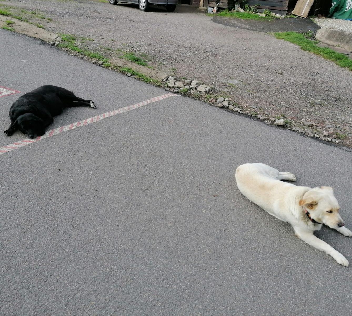 Dětský den :-) - 32