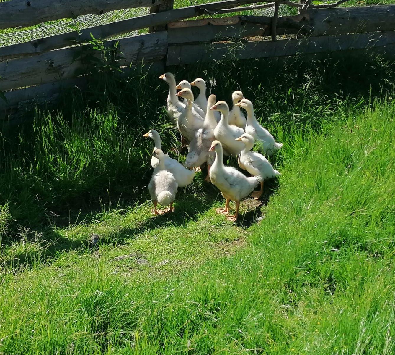 Dětský den :-) - 77