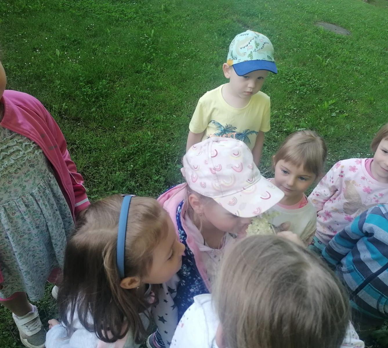 Tvořeníčko, tvoření: "Čím budu až vyrostu?" - vyrábíme bezovou šťávu :-) - 3