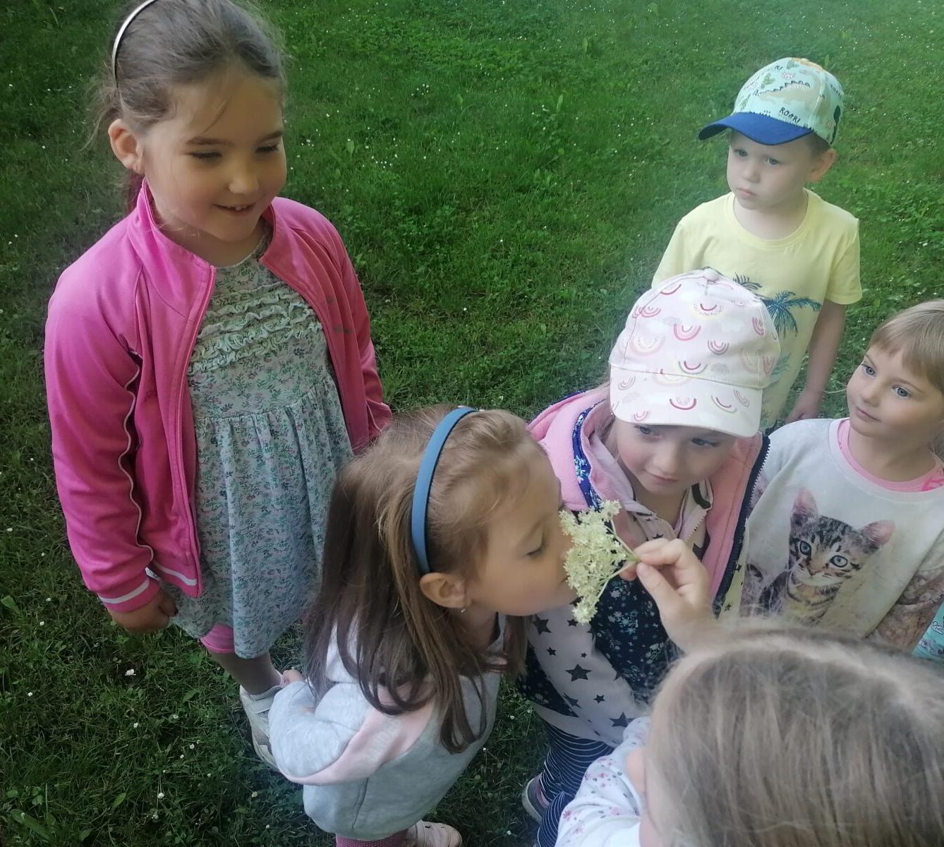 Tvořeníčko, tvoření: "Čím budu až vyrostu?" - vyrábíme bezovou šťávu :-) - 4