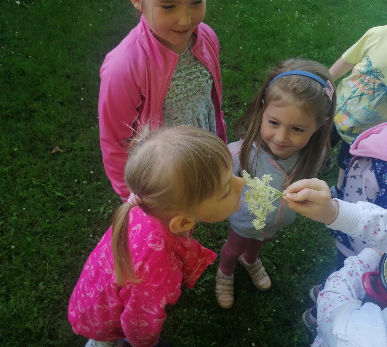 Tvořeníčko, tvoření: "Čím budu až vyrostu?" - vyrábíme bezovou šťávu :-) - 5