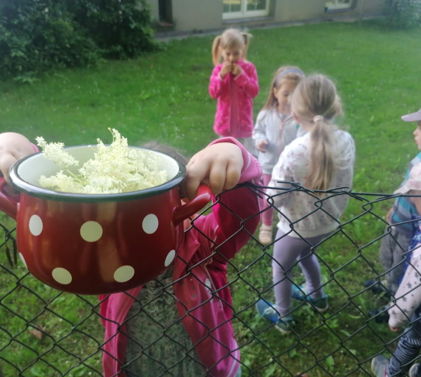 Tvořeníčko, tvoření: "Čím budu až vyrostu?" - vyrábíme bezovou šťávu :-) - 9