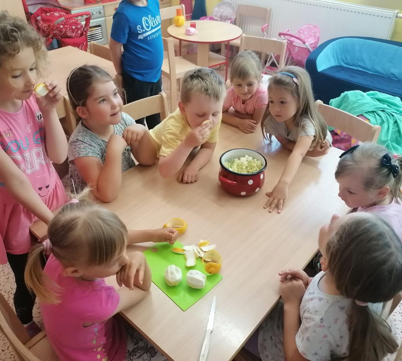 Tvořeníčko, tvoření: "Čím budu až vyrostu?" - vyrábíme bezovou šťávu :-) - 11