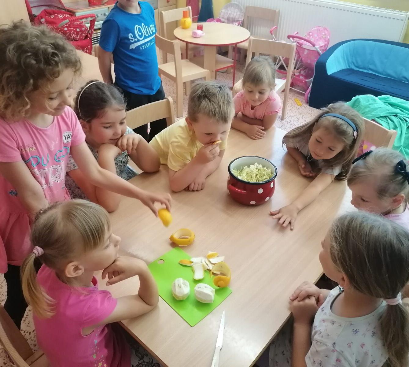 Tvořeníčko, tvoření: "Čím budu až vyrostu?" - vyrábíme bezovou šťávu :-) - 12