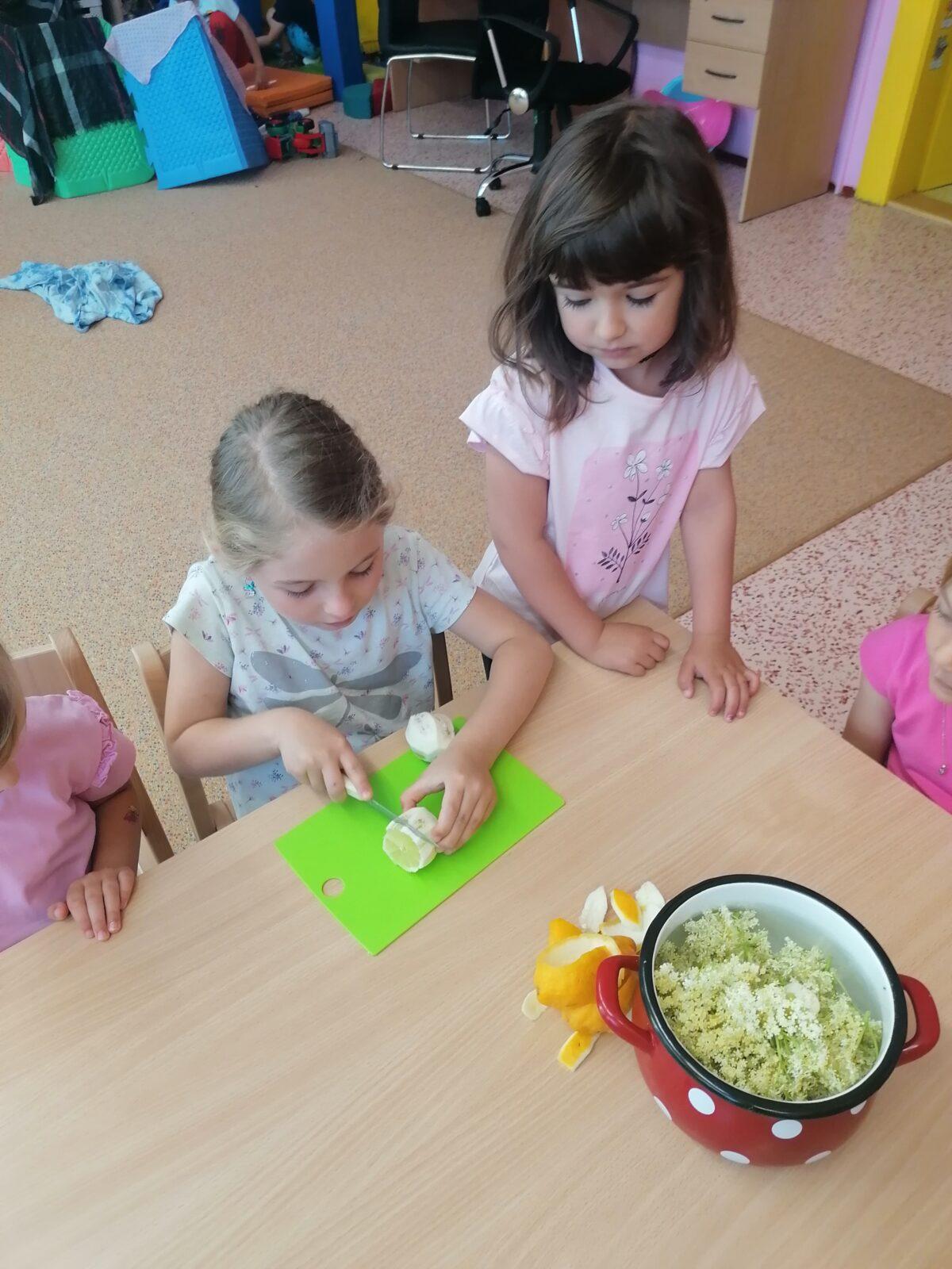 Tvořeníčko, tvoření: "Čím budu až vyrostu?" - vyrábíme bezovou šťávu :-) - 15