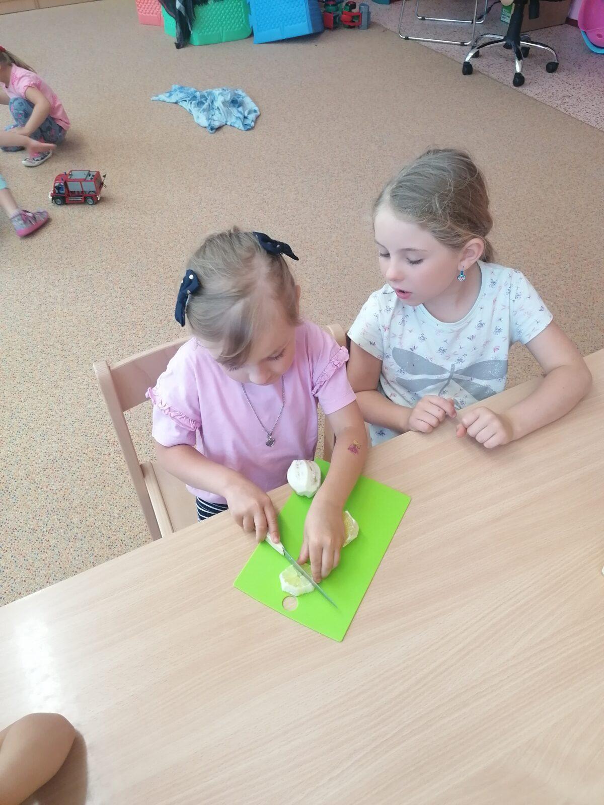 Tvořeníčko, tvoření: "Čím budu až vyrostu?" - vyrábíme bezovou šťávu :-) - 16