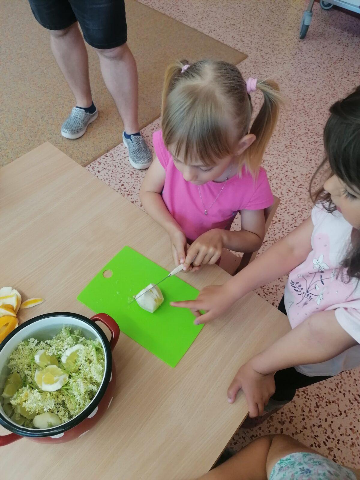 Tvořeníčko, tvoření: "Čím budu až vyrostu?" - vyrábíme bezovou šťávu :-) - 20