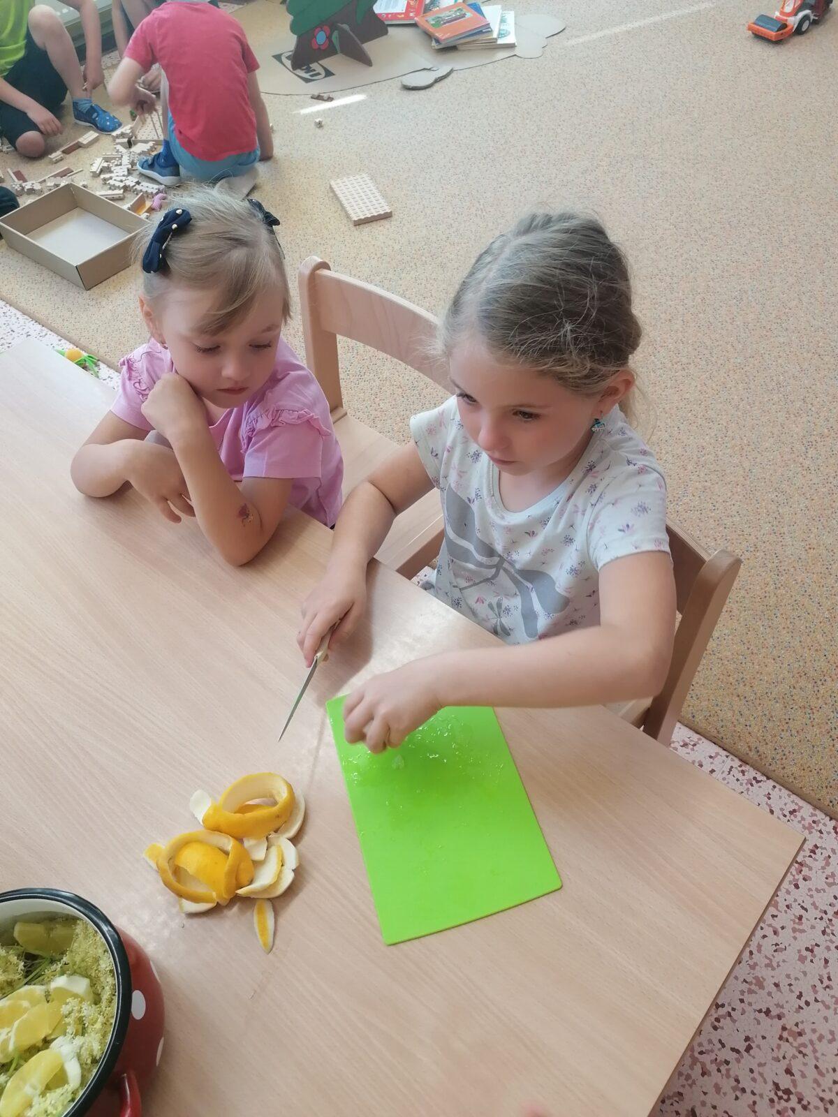 Tvořeníčko, tvoření: "Čím budu až vyrostu?" - vyrábíme bezovou šťávu :-) - 22