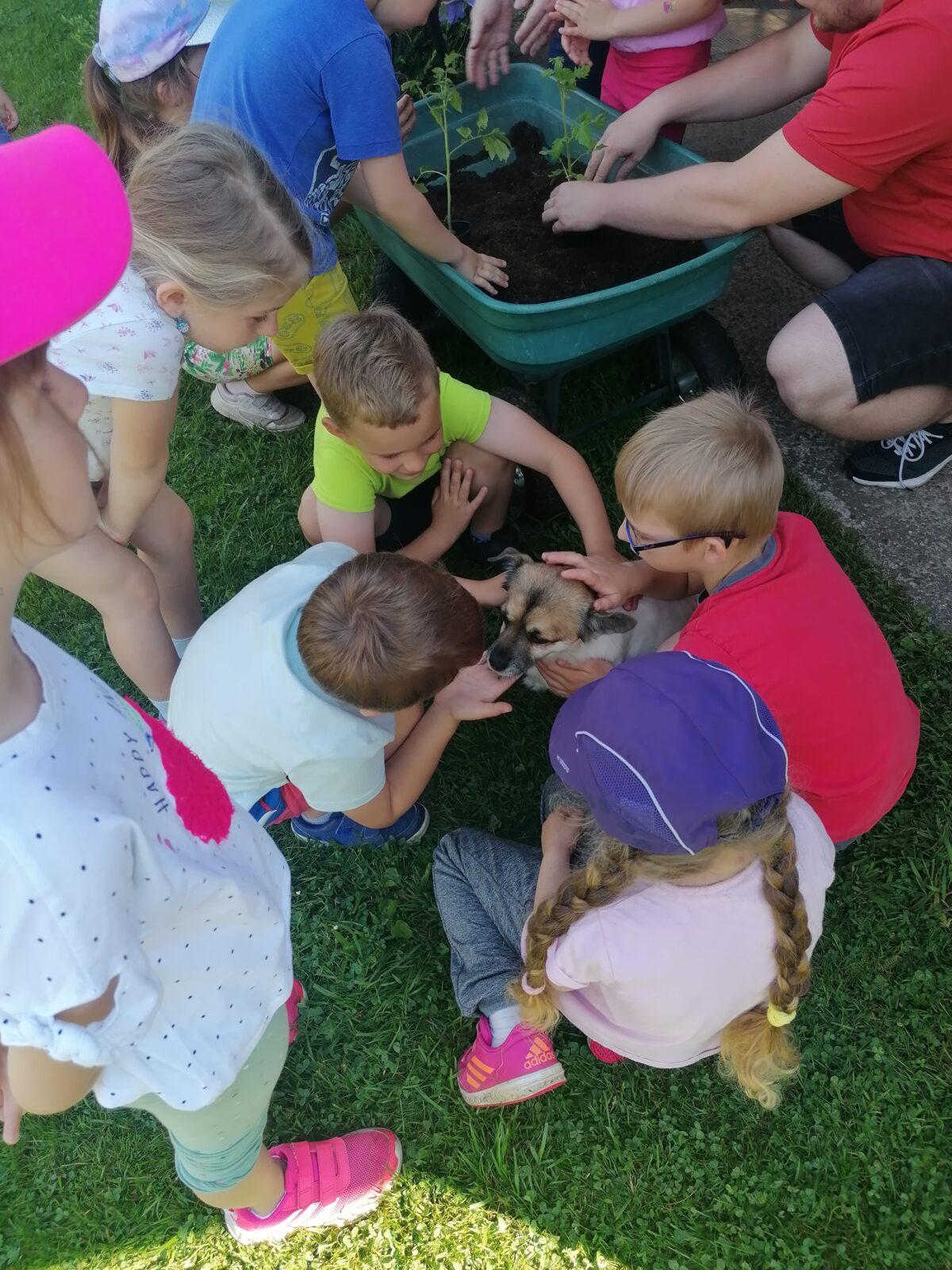 Tvořeníčko, tvoření: "Čím budu až vyrostu?"; zahradníci :-) - 18