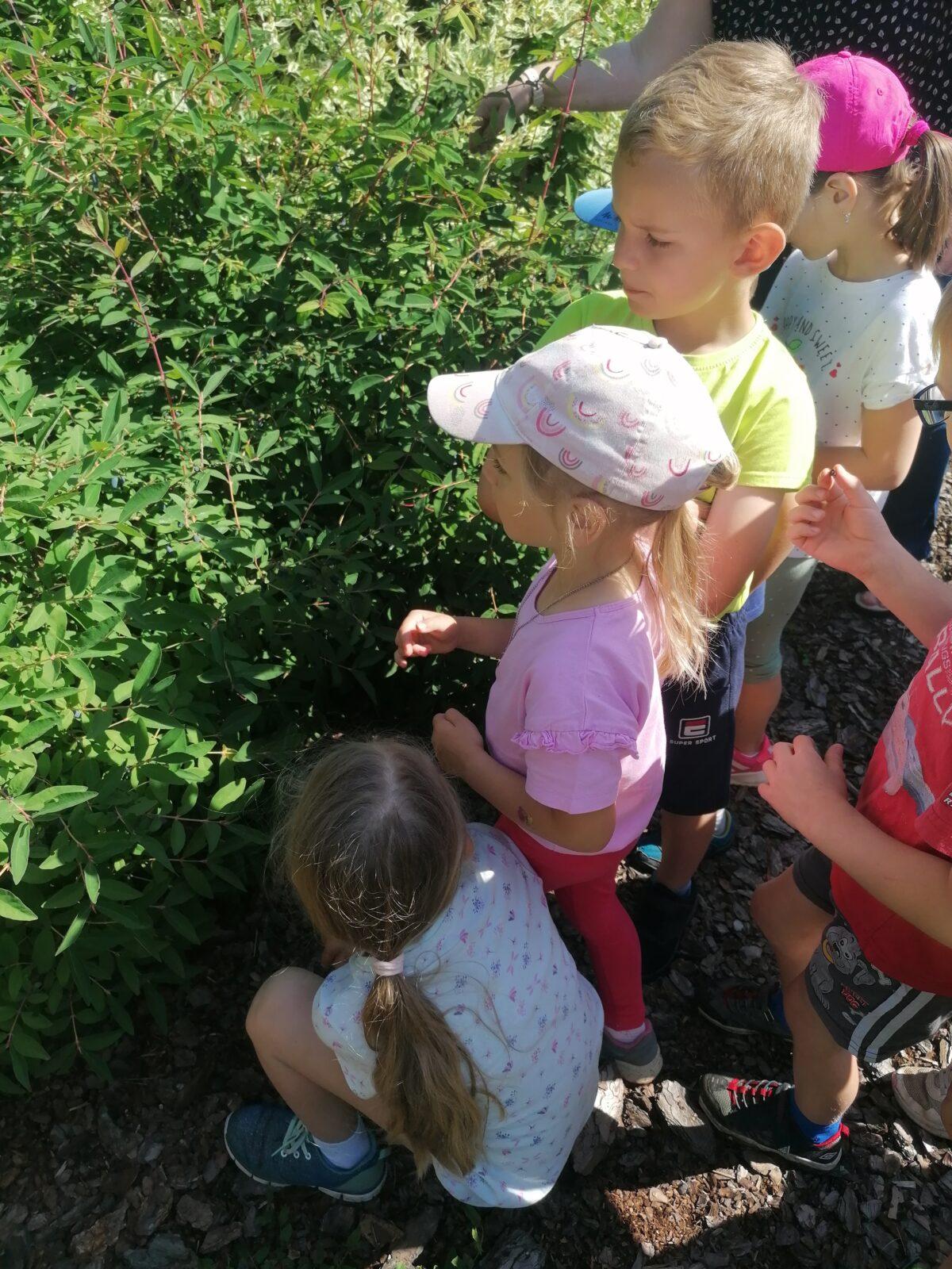 Tvořeníčko, tvoření: "Čím budu až vyrostu?"; zahradníci :-) - 22