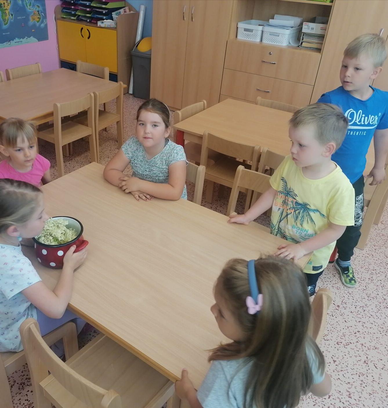 Tvořeníčko, tvoření: "Čím budu až vyrostu?" - vyrábíme bezovou šťávu :-) - 26