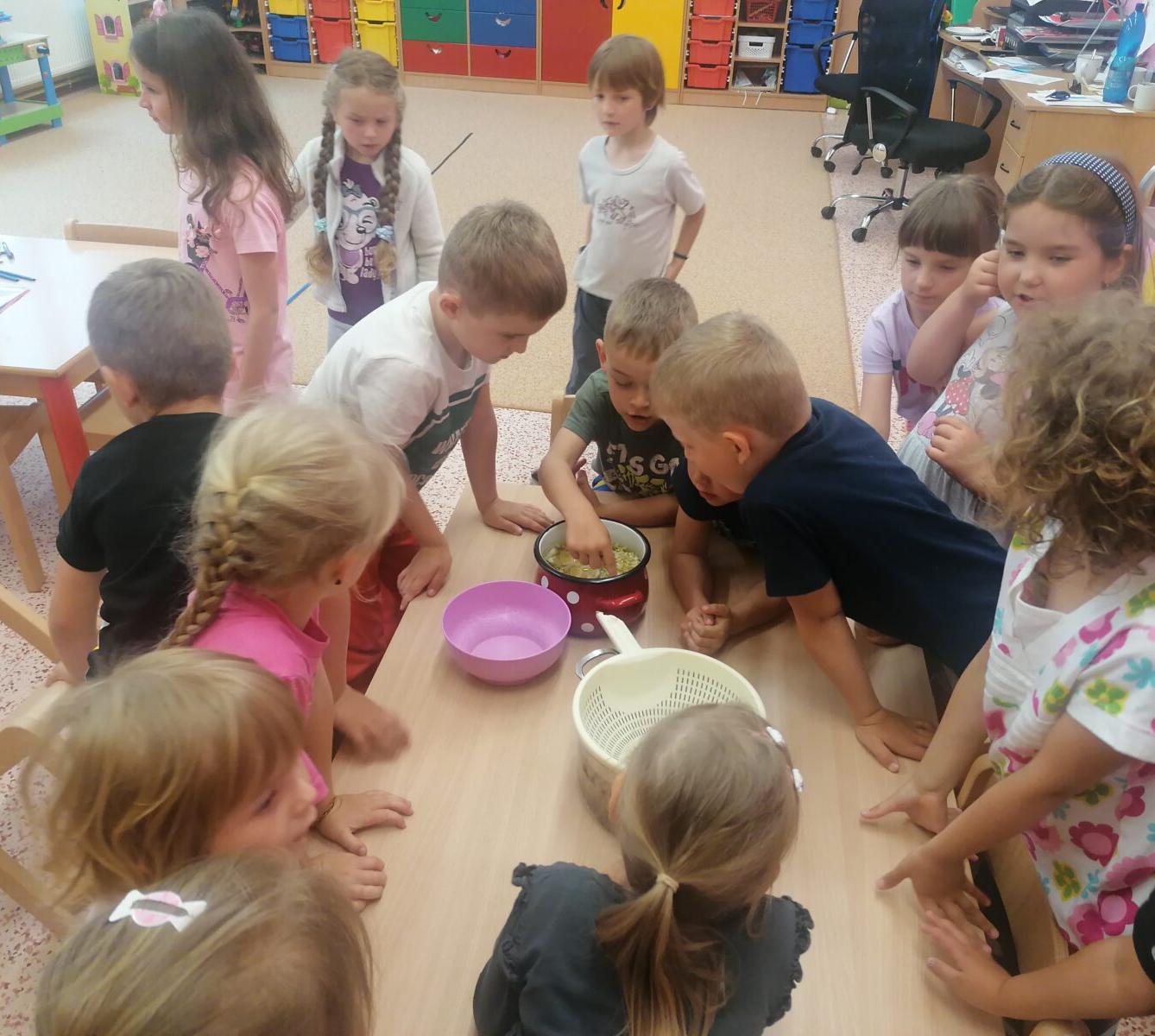 Tvořeníčko, tvoření: "Čím budu až vyrostu?" - vyrábíme bezovou šťávu :-) - 29