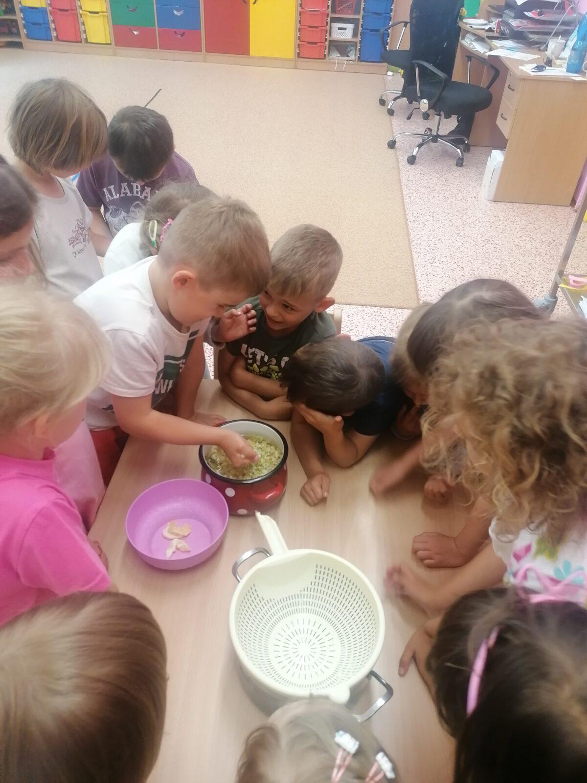 Tvořeníčko, tvoření: "Čím budu až vyrostu?" - vyrábíme bezovou šťávu :-) - 32