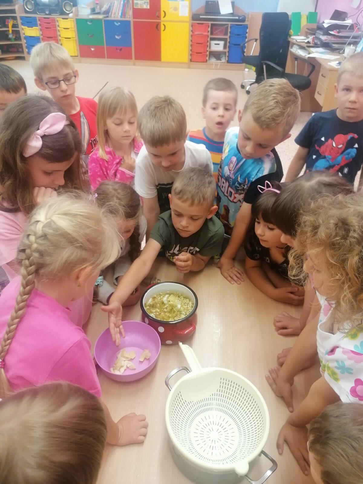 Tvořeníčko, tvoření: "Čím budu až vyrostu?" - vyrábíme bezovou šťávu :-) - 34