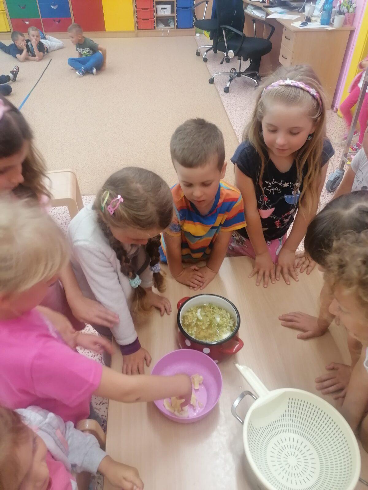 Tvořeníčko, tvoření: "Čím budu až vyrostu?" - vyrábíme bezovou šťávu :-) - 38